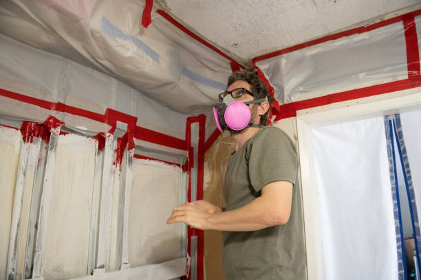 Dehumidification Services in Temple, PA