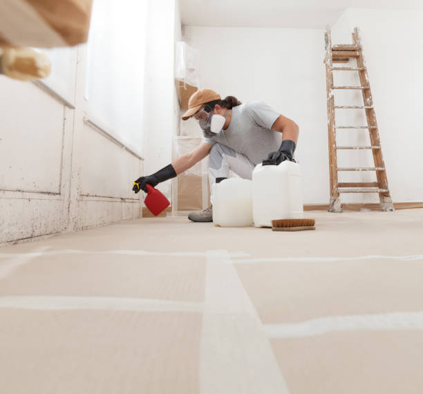 Best Mold Documentation for Insurance Claims  in Temple, PA
